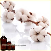 Cotton Flowers Fragrance (Flavor)