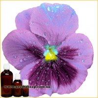 Violet fragrance (flavor)