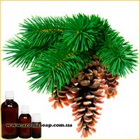 Pine fragrance (flavor)
