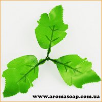 Viburnum leaves 10 pcs