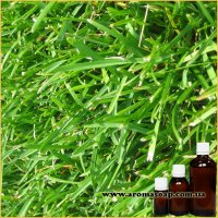 Sabila (freshly cut grass) fragrance (flavor)