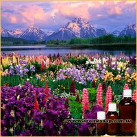 Alpine Meadow fragrance (flavor)