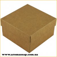 Premium Kraft box