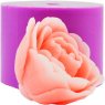 Пион Белла раскрытый бутон 3D элит-форма