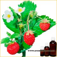 Strawberry fragrance (flavor)