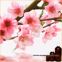 Sakura flowers fragrance (flavor)