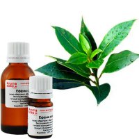 Tea tree essential oil Germany