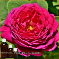 Sensual rose fragrance (flavor)