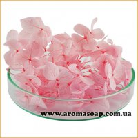 Hydrangea stabilized pink 500 mg