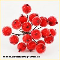 Sugar viburnum from 20 berries Red