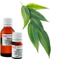 Eucalyptus essential oil Germany