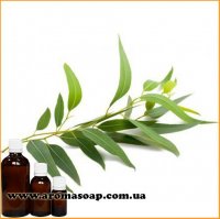 Eucalyptus essential oil Germany