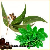 Mint leaves and eucalyptus fragrance (flavor)