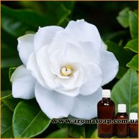 Gardenia fragrance (flavor)