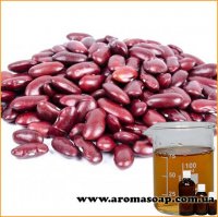 Bean protein hydrolyzate