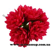 Decorative crimson Chrysanthemum buds 5 pcs