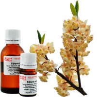 Litsea cubeba essential oil China