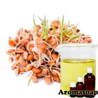 Water soluble wheat germ oil