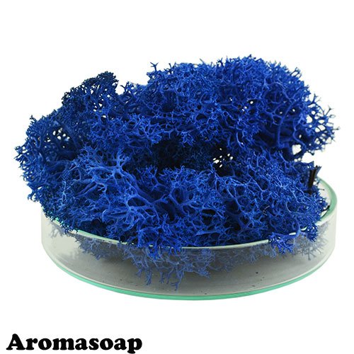 Moss stabilized Blue 10 g