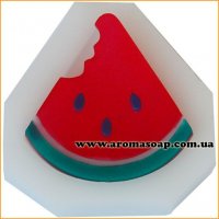 Mold 110 slice of watermelon