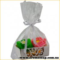 Gift bag with white insert and ribbon 1 pc.