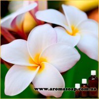 Plumeria fragrance (flavor)