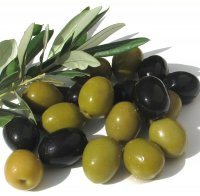 Olive squalane 10 ml