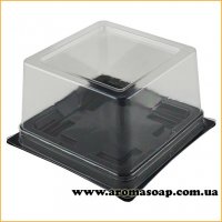 Plastic packaging Square with black bottom