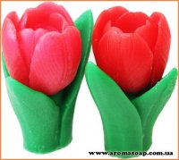 Spring tulip 3D (2 form) silicone mold