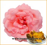 Rose Wax (Rosa Damascena Extract)