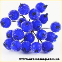 Sugar viburnum from 20 berries Blue